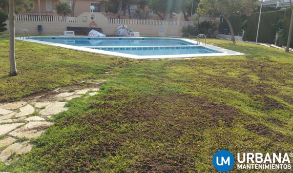 mantenimiento-de-jardin-en-alicante
