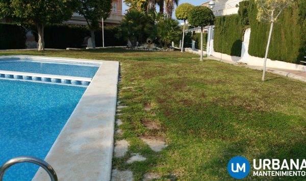 mantenimiento-jardin-alicante