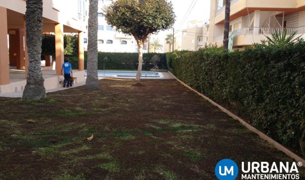 mantenimiento-jardin
