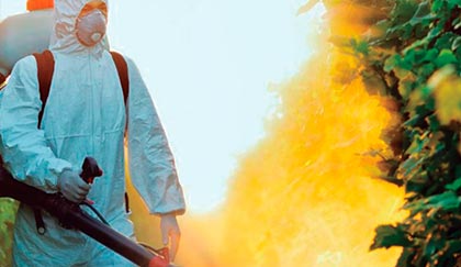 Empresa fumigaciones en Alicante