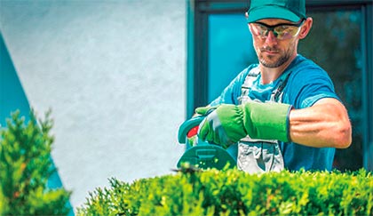 Profesionales de la jardinería